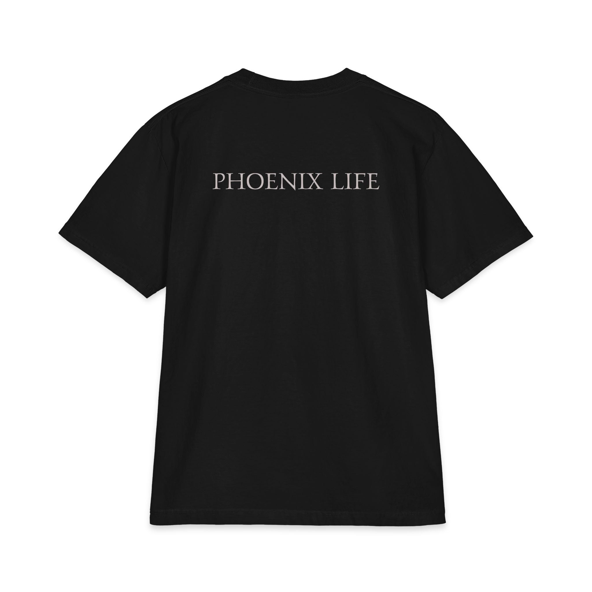 Phoenix Life Genesis Code Tee - (Silver) Origin Seal