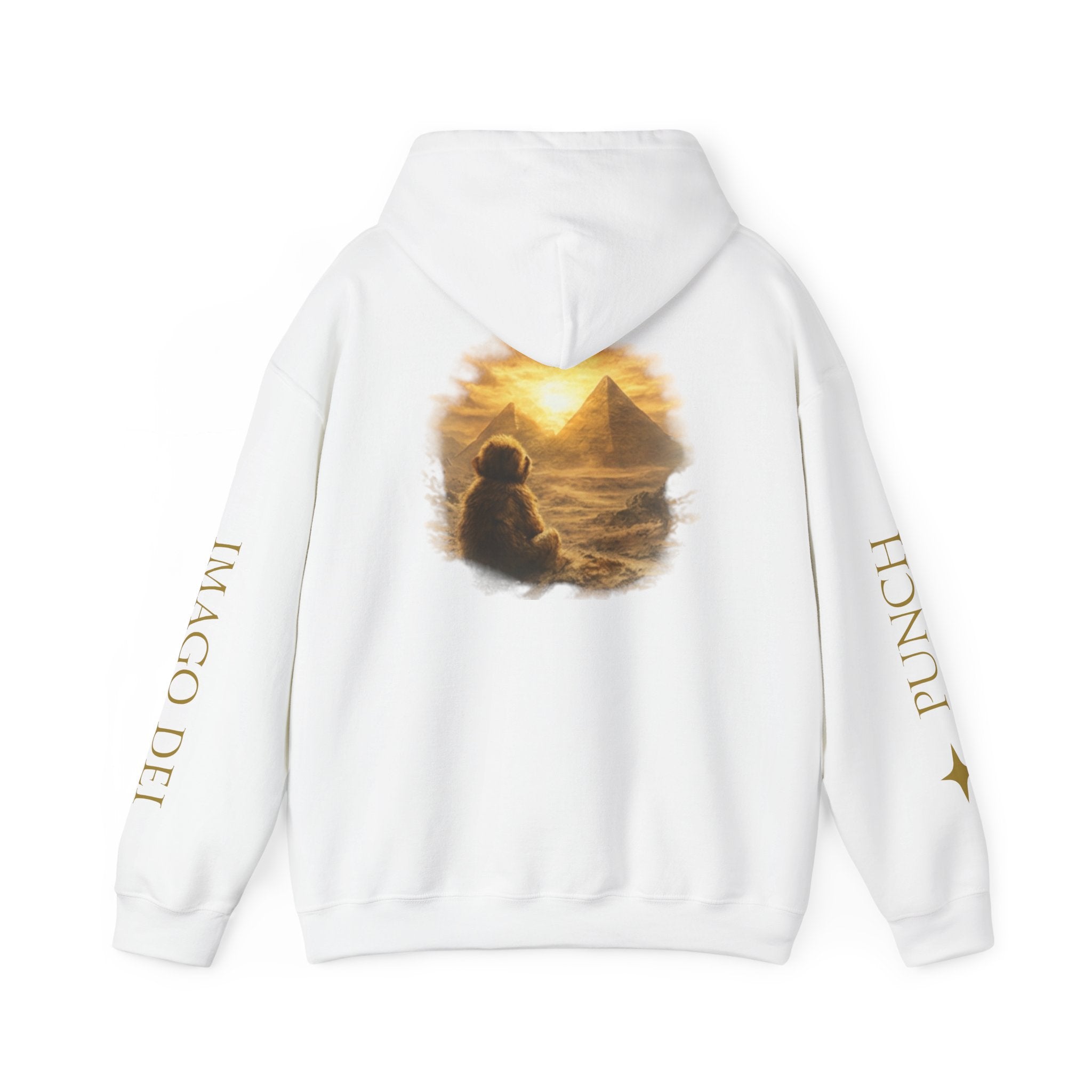 Remember Who You Are Hoodie — IMAGO DEI ◊ Punch