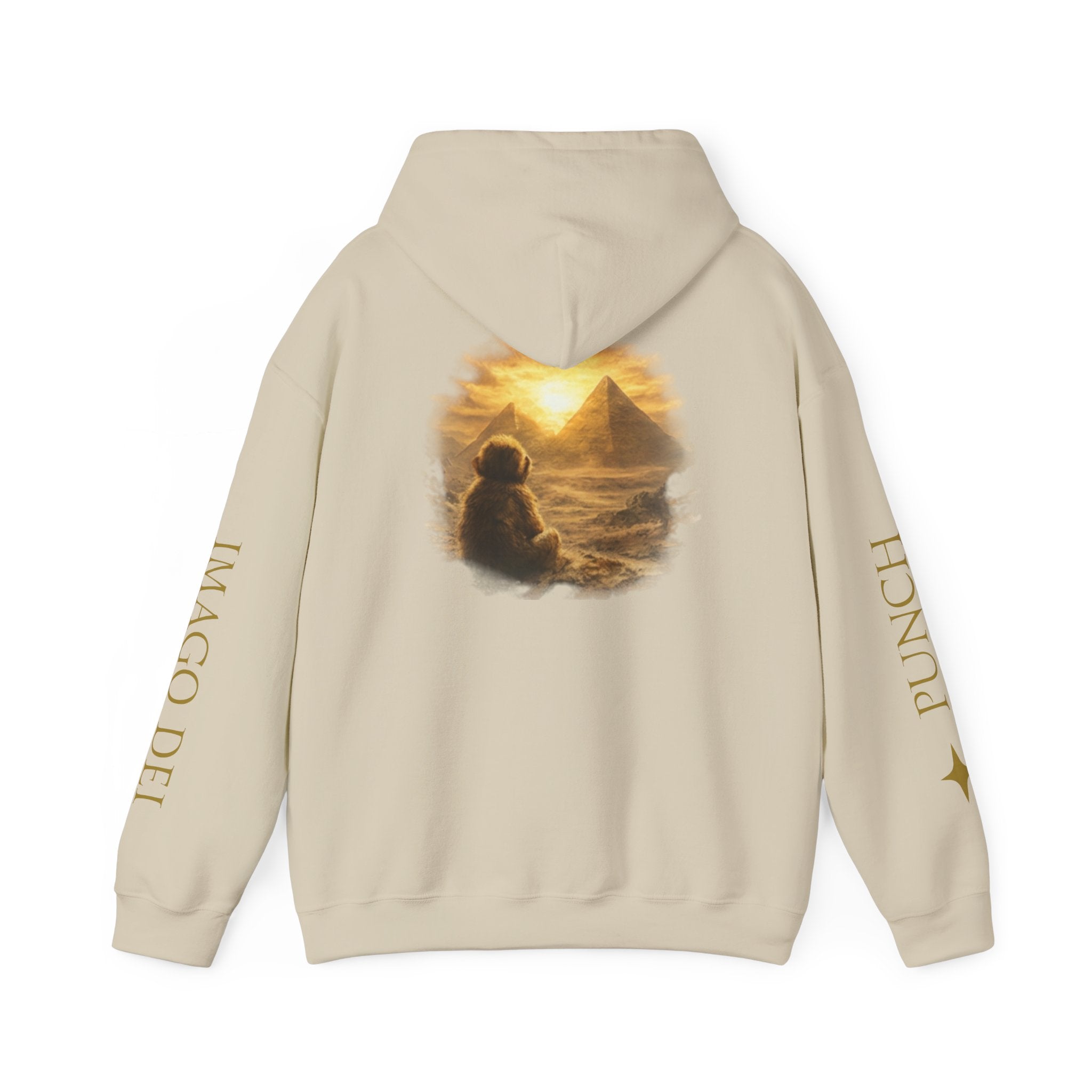 Remember Who You Are Hoodie — IMAGO DEI ◊ Punch