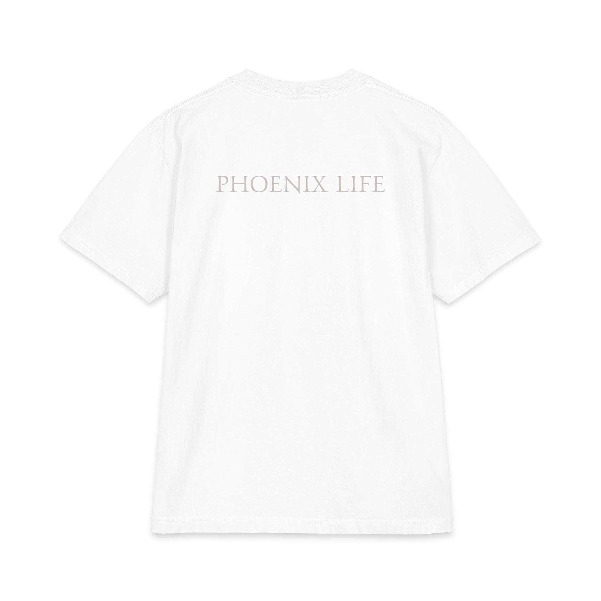 Phoenix Life Genesis Code Tee - (Silver) Origin Seal