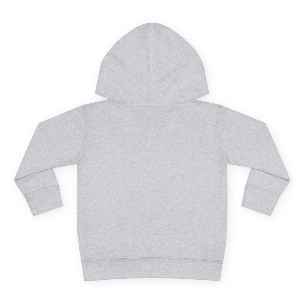 Toddler Hoodie – "Seed Spark Rise" Inspirational Pullover