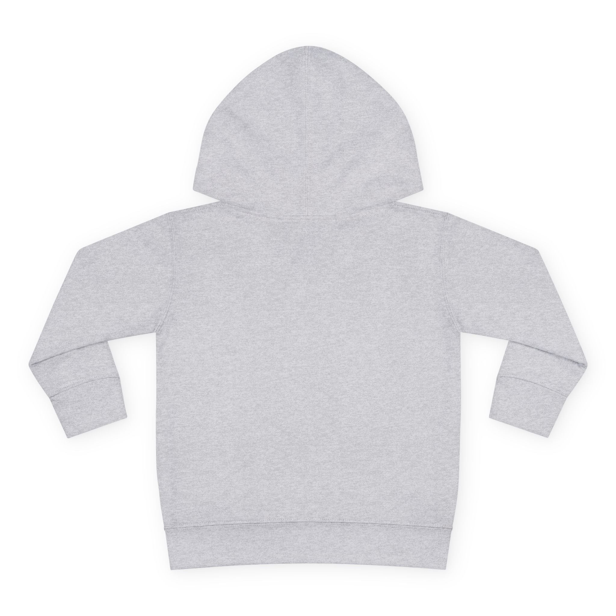 Toddler Hoodie – "Seed Spark Rise" Inspirational Pullover