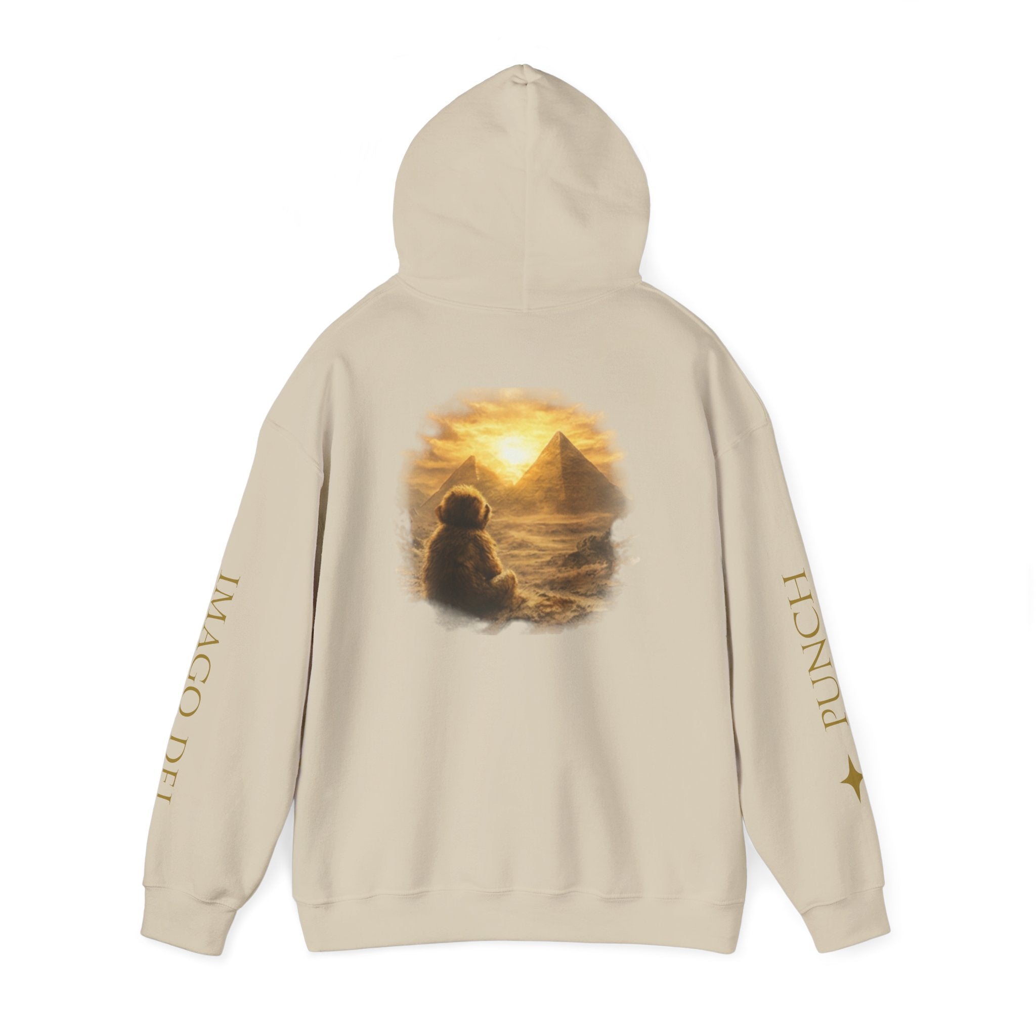 Remember Who You Are Hoodie — IMAGO DEI ◊ Punch